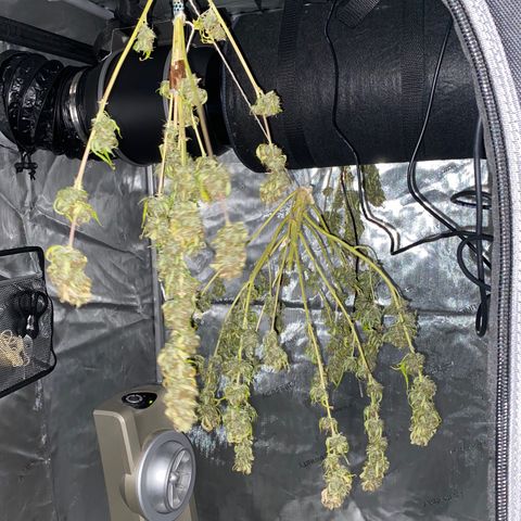Martha growlog timeline photo
