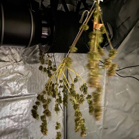 Martha growlog timeline photo