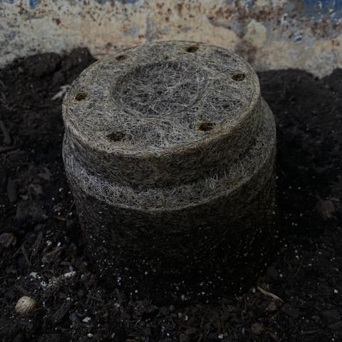 Martha growlog timeline photo