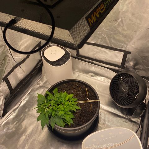 Sabrina growlog timeline photo