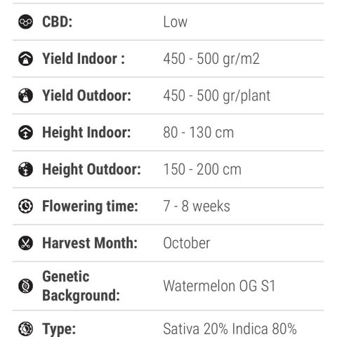 Felipe growlog timeline photo