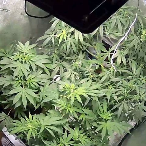 Sandy growlog timeline photo