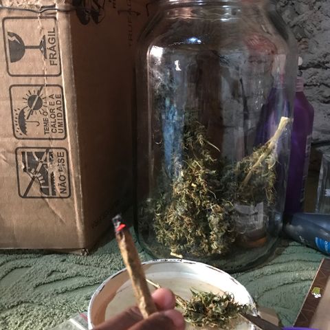 Brenda  #1 growlog photo: Um dia achei q era impossível 