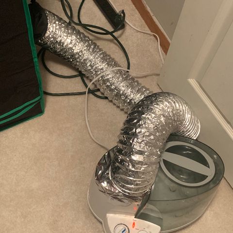 Sativa star mother 1&2 growlog photo: Hooked up humidifier to bring up humidity. 