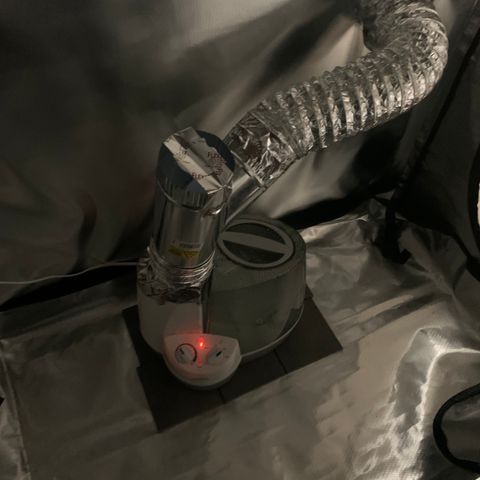 Sativa star mother 1&2 growlog photo: Put humidifier in grow room 3, and a vent through the wall between. Turned heater around so it’s not blowing hot air on top of plants 