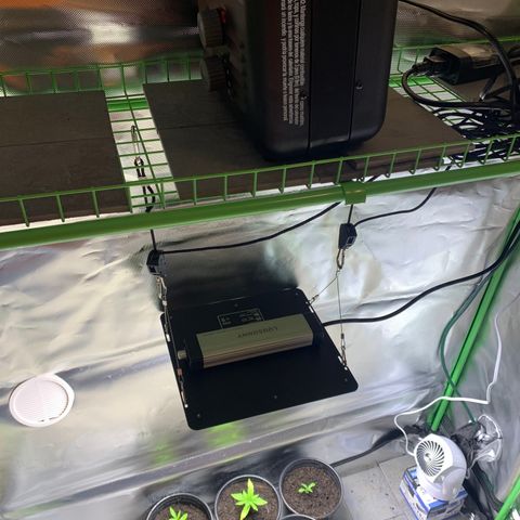 Sativa star mother 1&2 growlog photo: Fan up top and small fan on bottom to keep air moving 