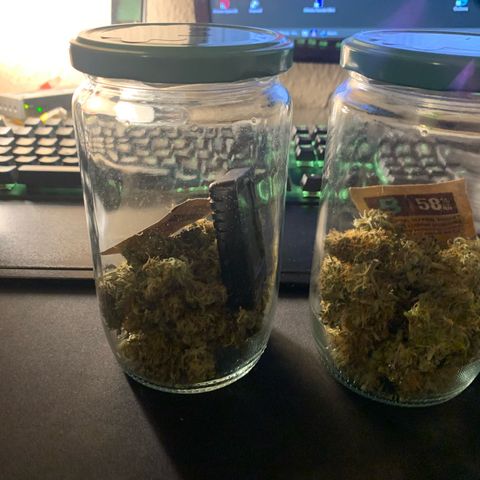 WHITE WIDOW Automatic growlog timeline photo
