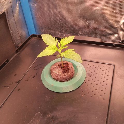 Genética desconocida growlog timeline photo