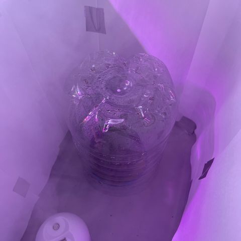 MaCheese FM growlog timeline photo