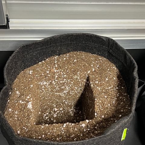 MaCheese AN growlog timeline photo