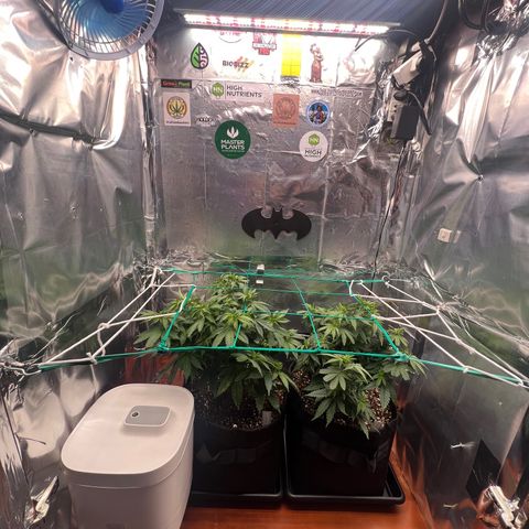 MaCheese FM growlog timeline photo