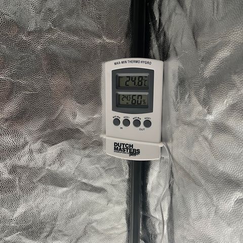 Critical growlog timeline photo