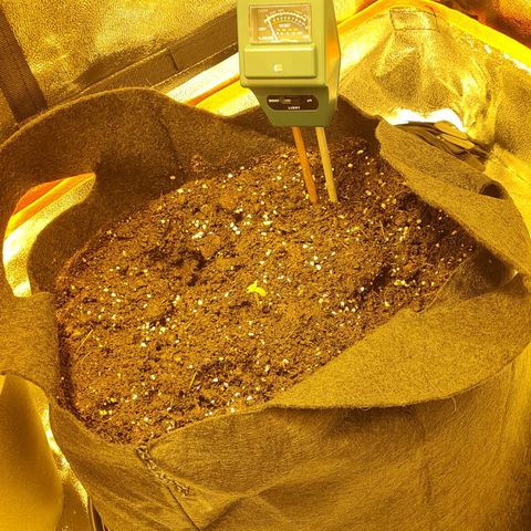Kalini asia growlog photo: Jour 2