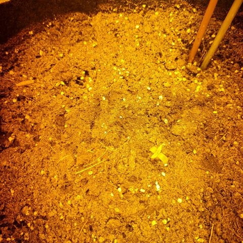 Kalini asia growlog photo: Jour 2