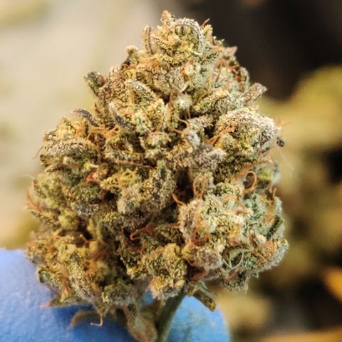 Meph Double Grape growlog timeline photo
