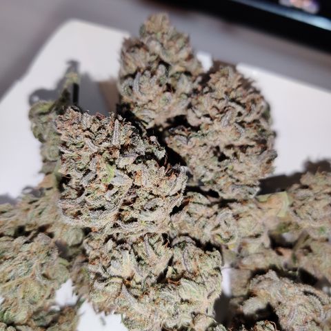 Barney's Purple Punch growlog timeline photo
