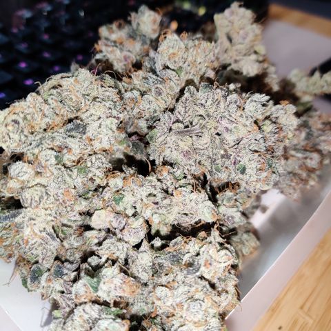 Roc Grape Dosi Breath growlog timeline photo
