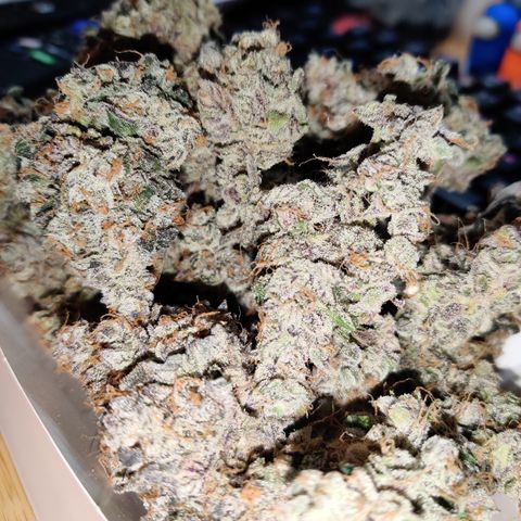 Roc Grape Dosi Breath growlog timeline photo