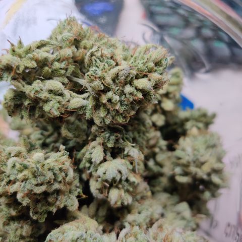 Meph CDxCDLC growlog timeline photo