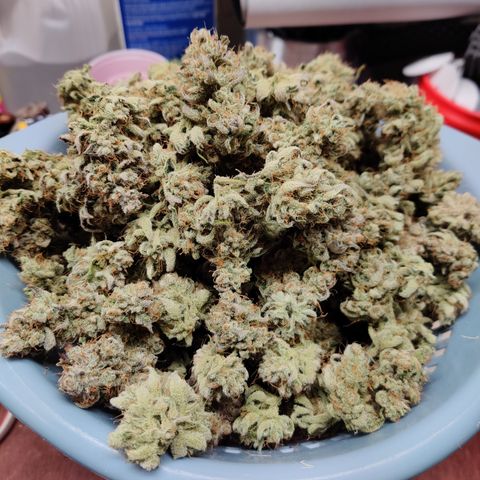 LB's Mango Tango growlog timeline photo