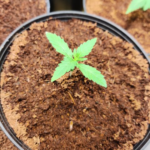 NO Margie growlog timeline photo