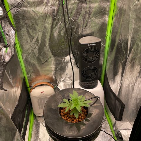Junior growlog timeline photo