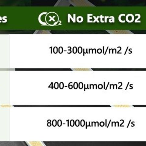 Californian Gold - Lili - 62 j - 9 sem. growlog photo: For general indoor growing scenarios, it is important that the PPFD is evenly distributed. Just make sure that the temperature of the leaves' surface areas does not exceed 30 ℃, then all plants can get greater PPFD as much as feasible.