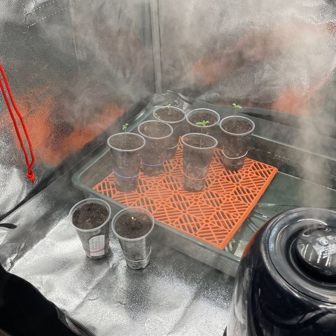 Eleven Roses - Rose 🌹 - 55 j - 8 sem growlog photo: Avec ma louloutte ❤️