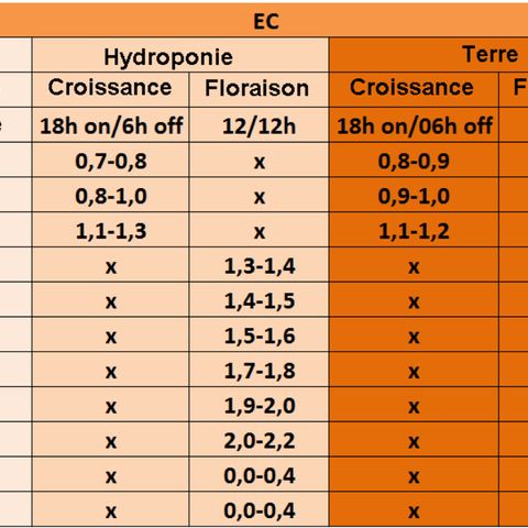 Eleven Roses - Rose 🌹 - 55 j - 8 sem growlog timeline photo