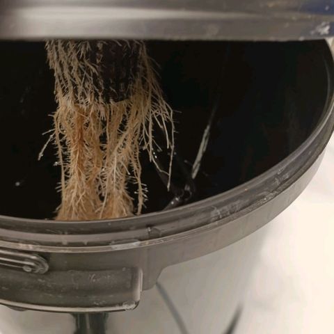 Ice Cream Cake growlog timeline photo