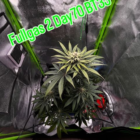 Fullgas  #2 growlog timeline photo