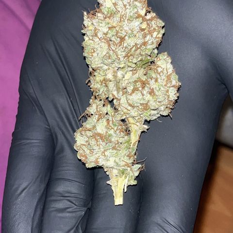 Granddaddy Purple #2 growlog timeline photo