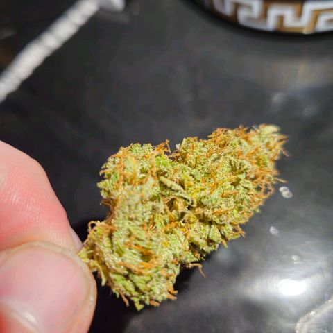 Pink Rozay #2 growlog timeline photo