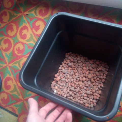 Seriotica a la GaNjaJoHnNaY growlog photo: 14L Töpfe vorbereitet
