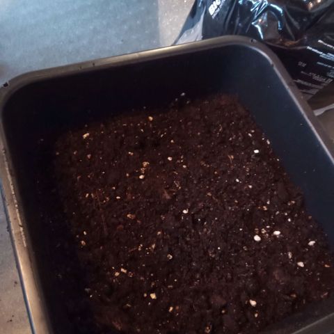 Seriotica a la GaNjaJoHnNaY growlog photo: 14L Töpfe vorbereitet
