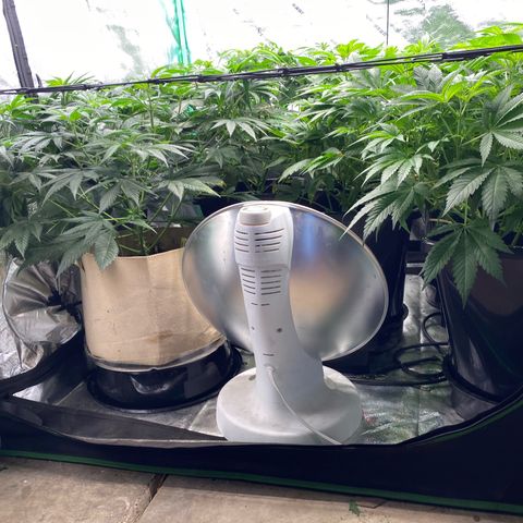 Autopot  growlog timeline photo