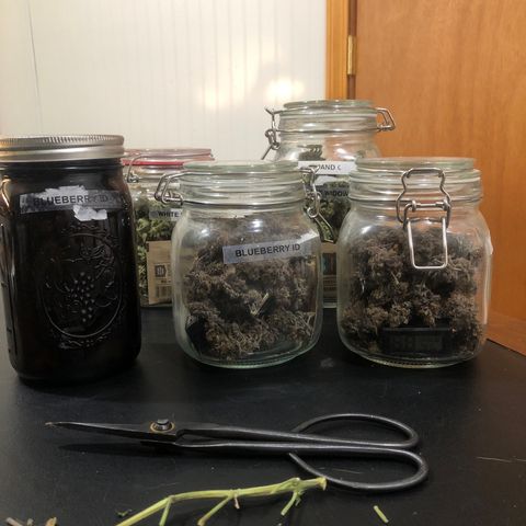 Blue growlog timeline photo
