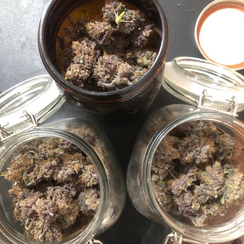 Blue growlog timeline photo