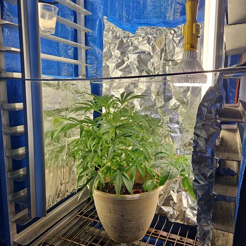 Juanita  growlog timeline photo