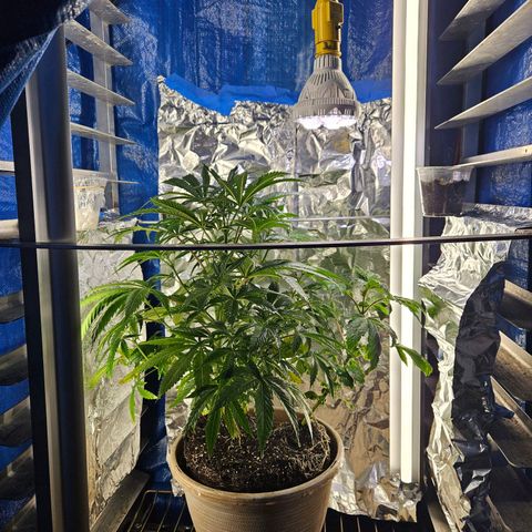 Juanita  growlog timeline photo