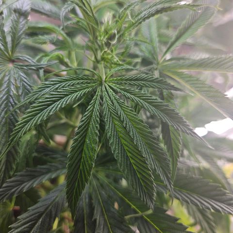 Juanita  growlog timeline photo
