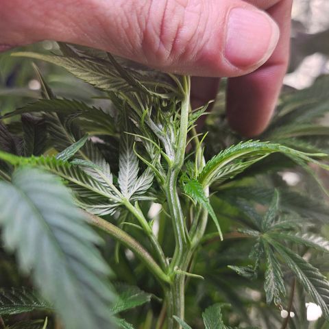 Juanita  growlog timeline photo