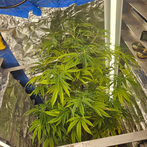Juanita  growlog timeline photo