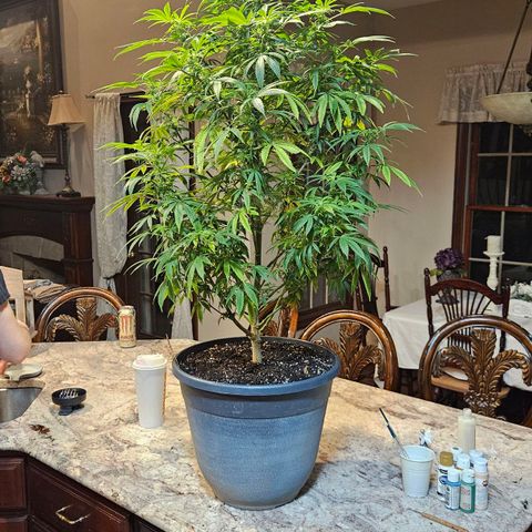 Juanita  growlog timeline photo