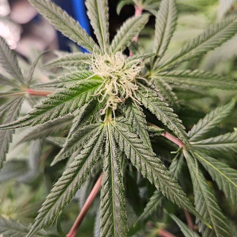 Juanita  growlog timeline photo