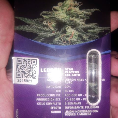 Lebron haze lst growlog photo: Info of seed