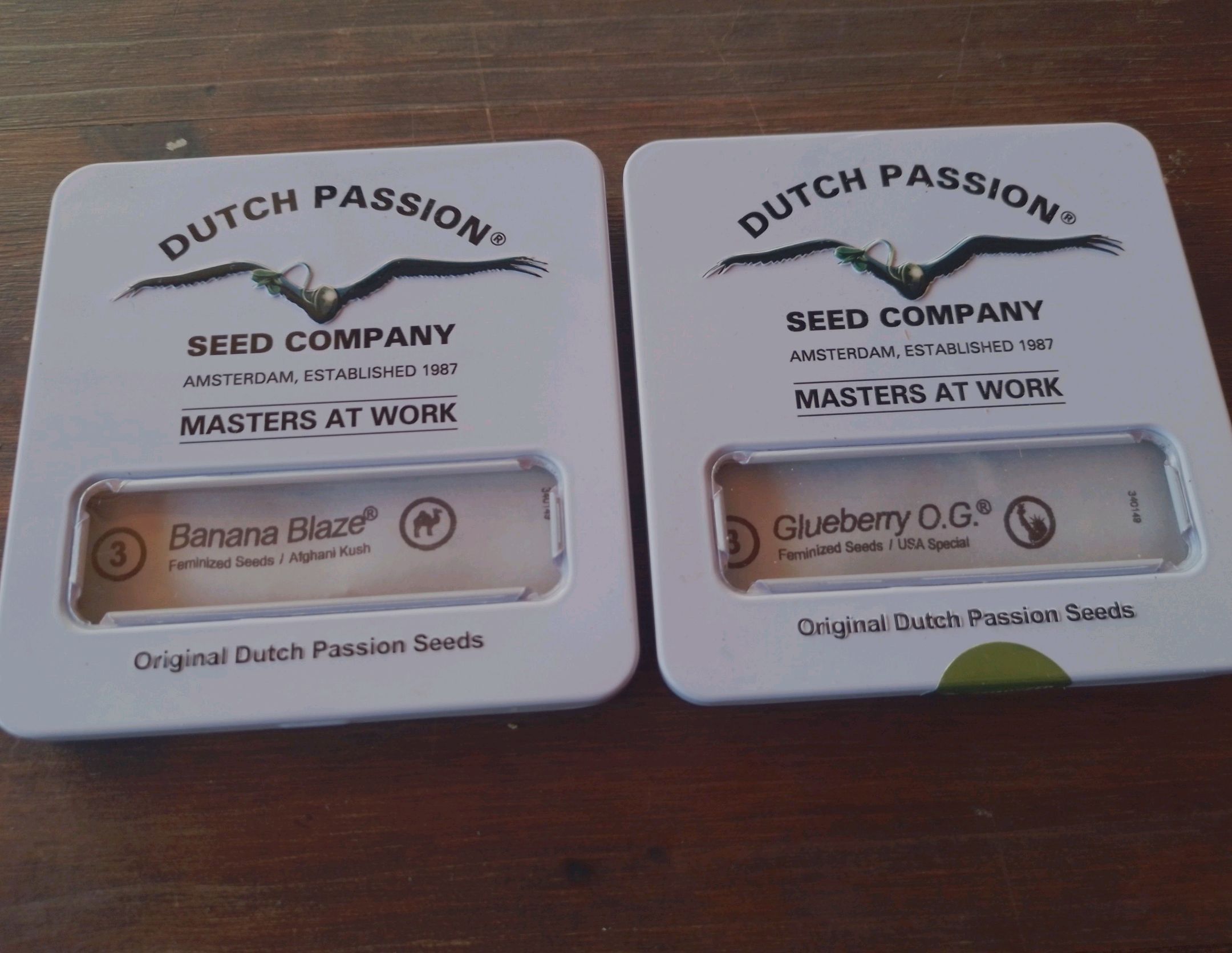 Glueberry OG & Banana Blaze #1 growlog header