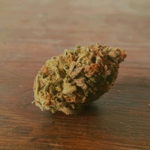 2do ciclo / desflash - apple cookies growlog photo: Apple cookies. 6 semanas frasco. Dry trim