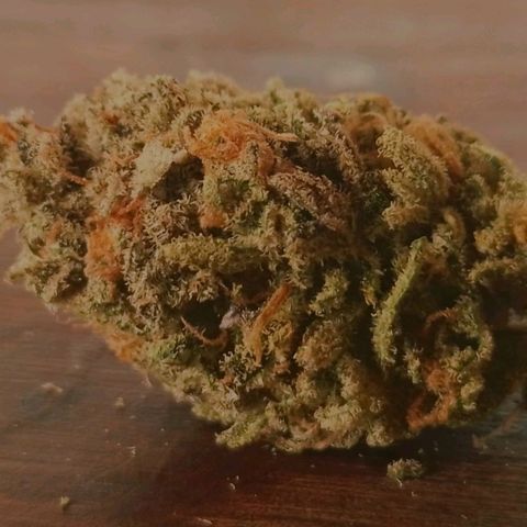 2do ciclo / desflash - apple cookies growlog photo: Apple cookies. 6 semanas frasco. Dry trim