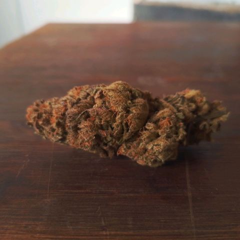 2do ciclo / desflash - apple cookies growlog timeline photo